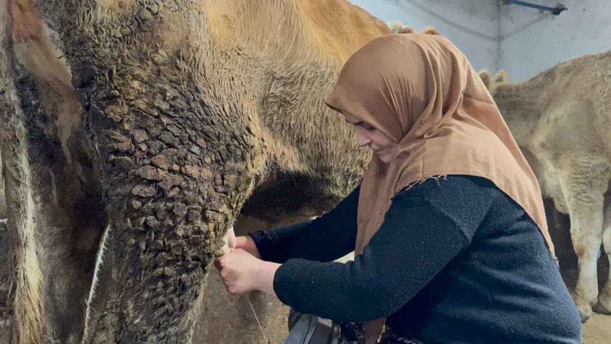 5F4E4887 1013 4741 A1A0 42381Dda77D6 69372731E948C