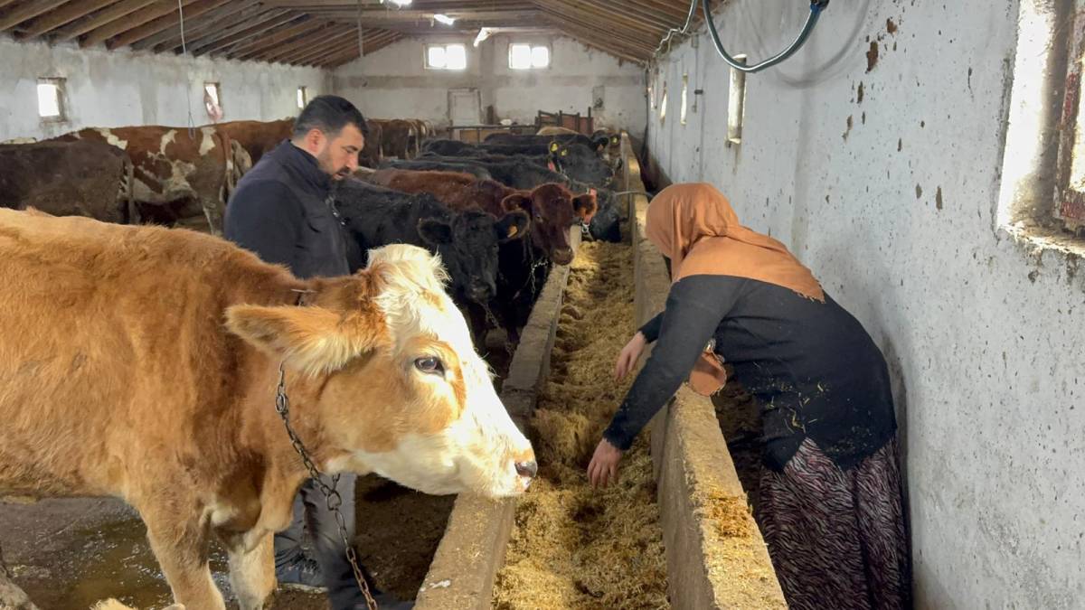 B27Cc24B 36E3 45B7 B2E4 976Edfa07Bc4 693726Ff45Be6