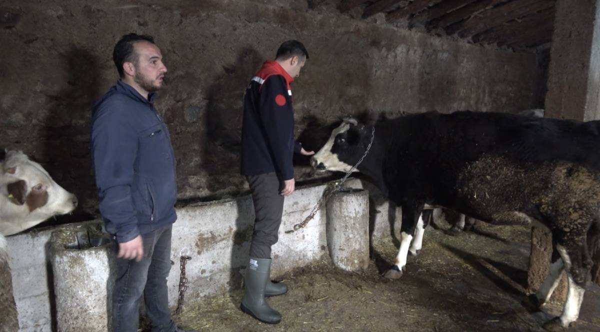 Img 1051 692Fd92C1Dbe3