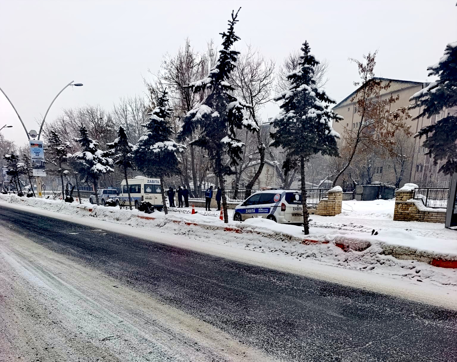 I M G 20260117 W A0039 Edit 403008972910165