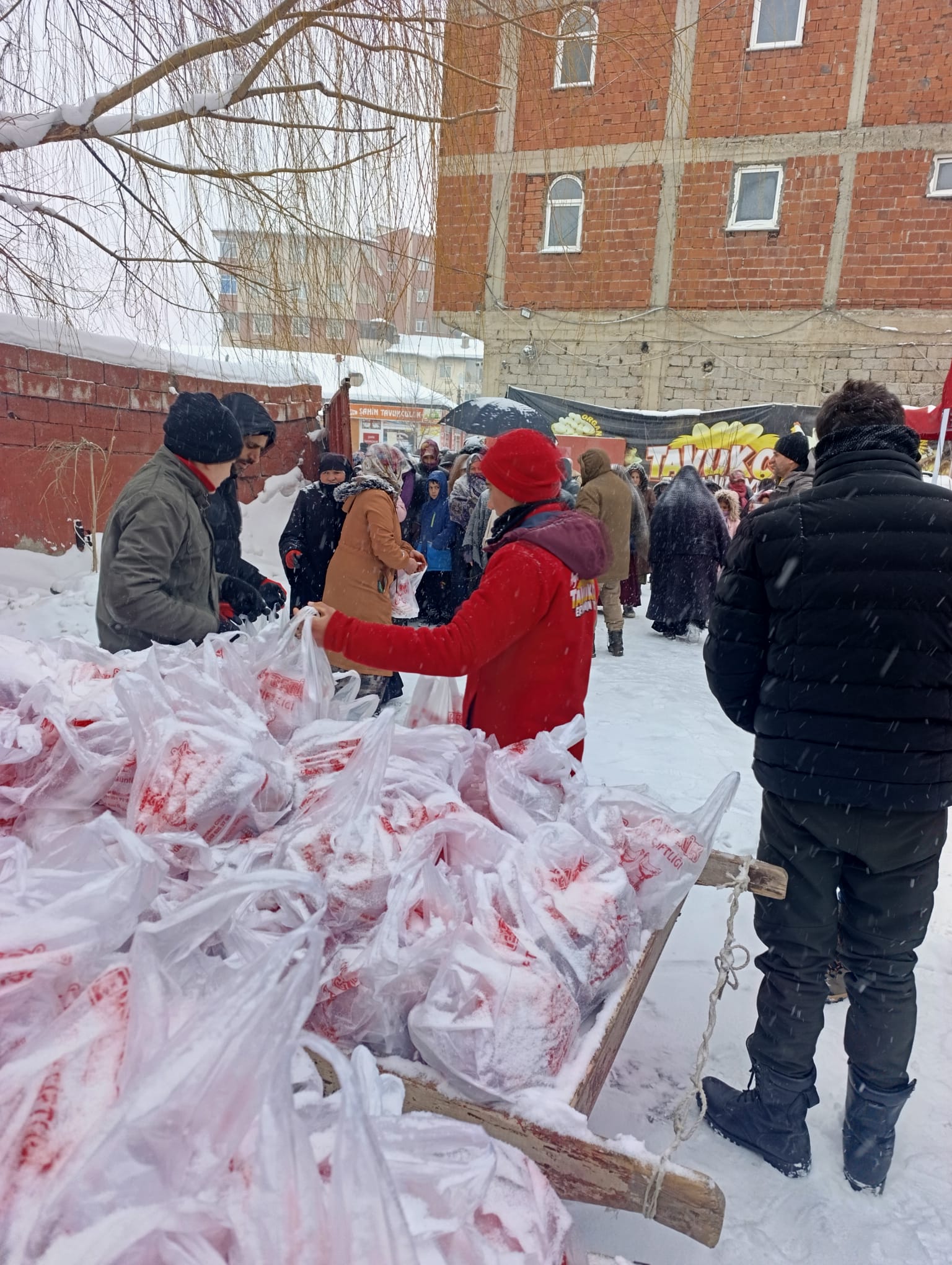 I M G 20260123 W A0009