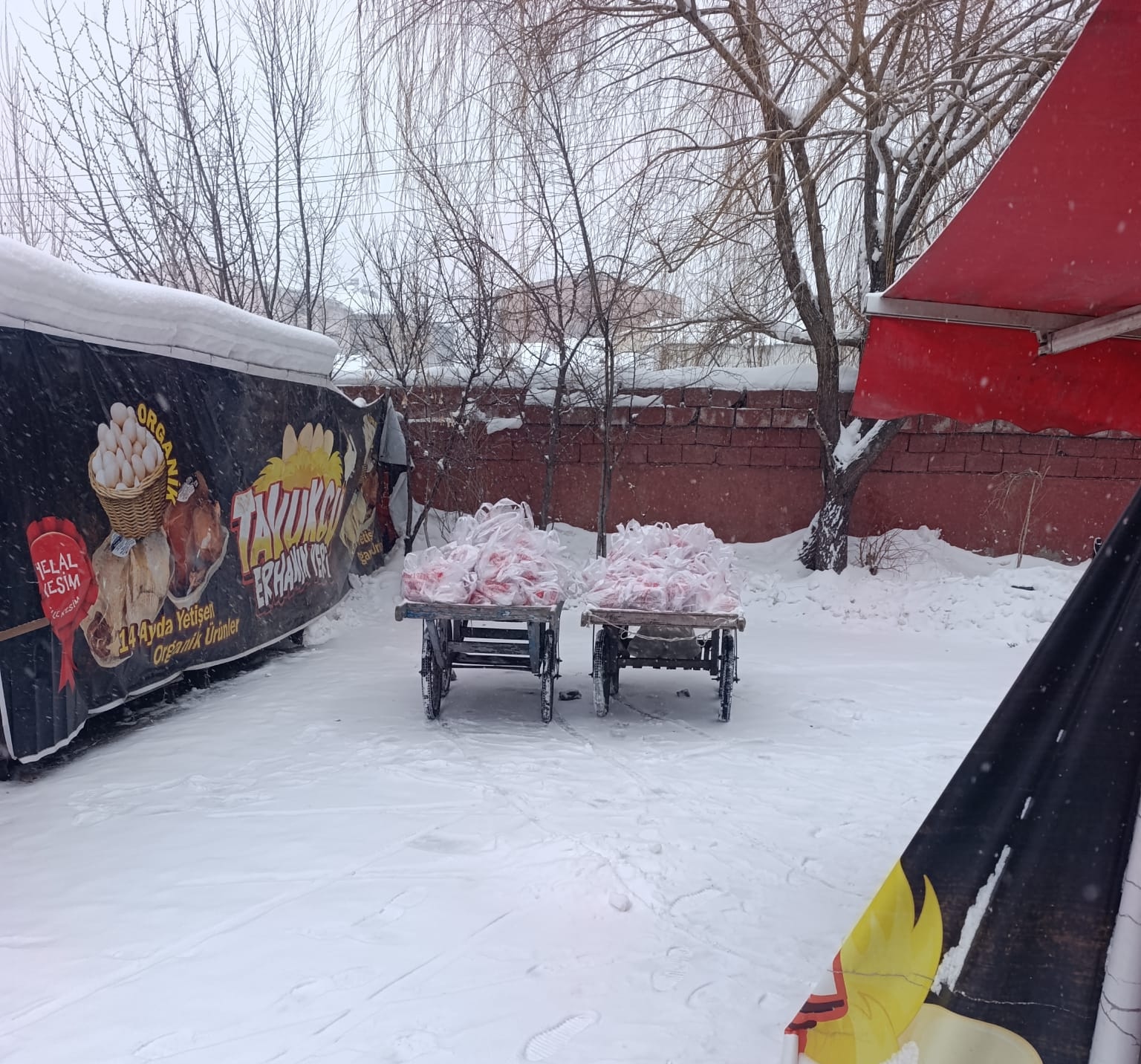 I M G 20260123 W A0015 Edit 598550262340465