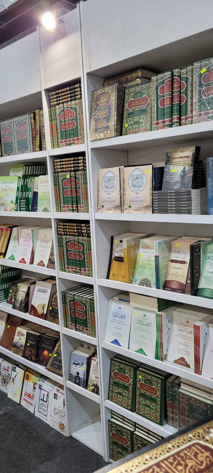 I M G 20260124 W A0004