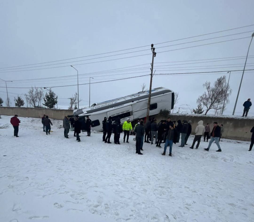 I M G 20260207 W A0003