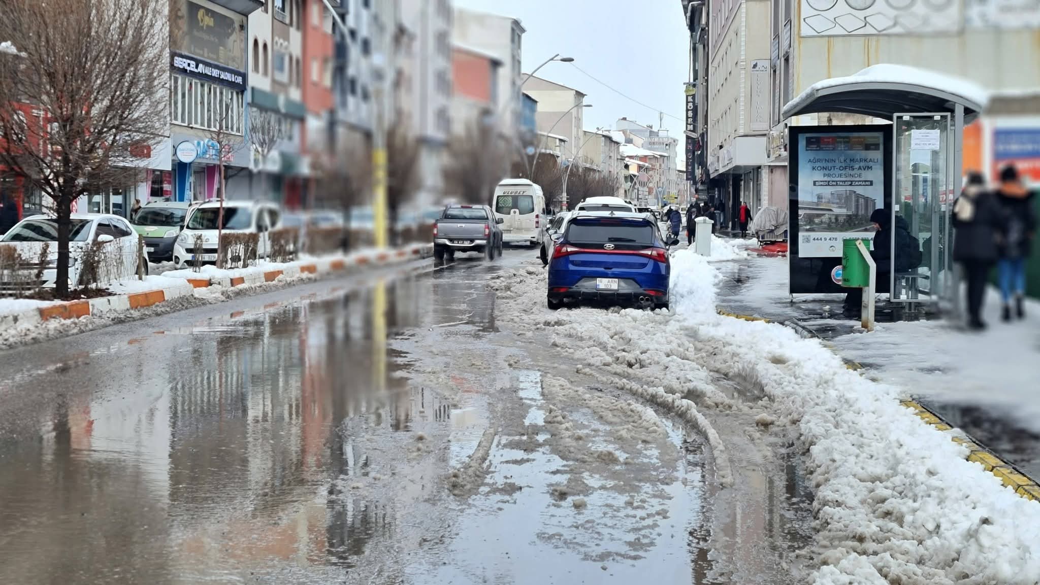 I M G 20260213 W A0005