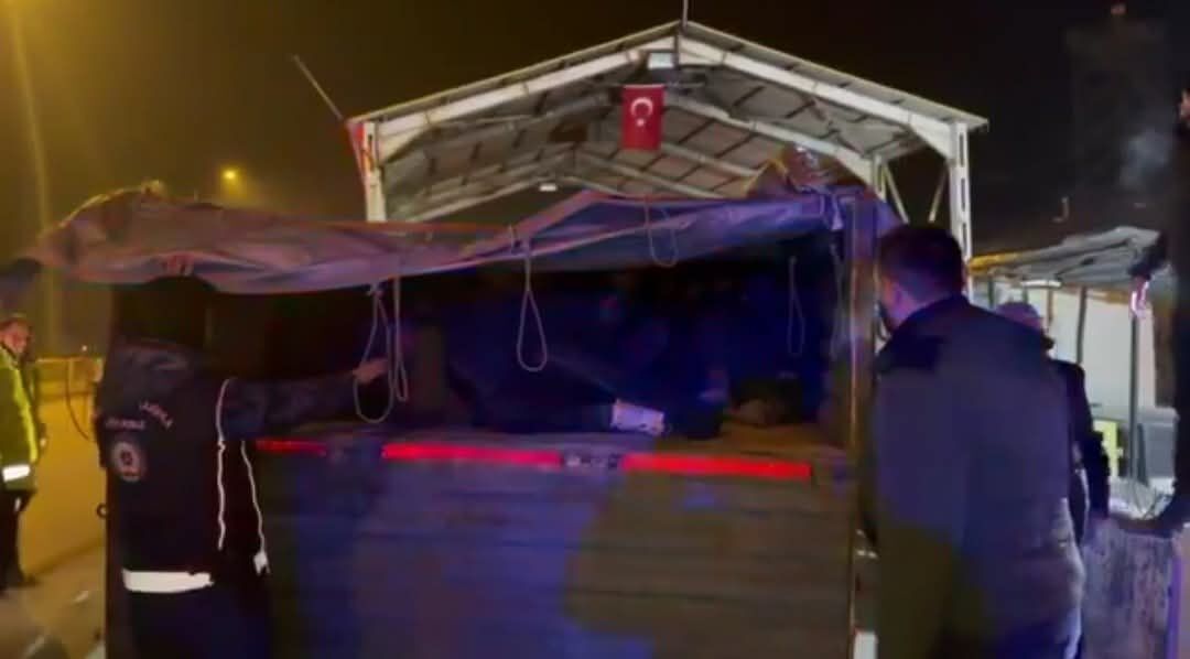 I M G 20260302 W A0008