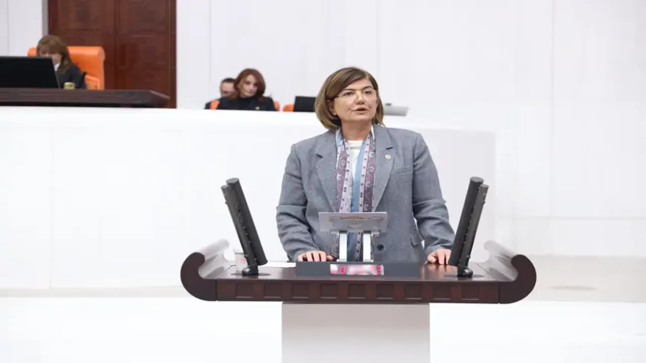 Suna Kepolu Ataman: "PKK’nin güçlerini çekme kararı, oldukça sıcak ve saygıdeğer bir adımdır”