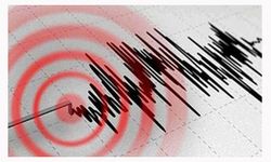 Bingöl depreminin ardından deprem beklenen 4 il