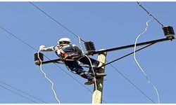Türkiye'de en fazla kaçak elektrik kullanan iller hangileri?