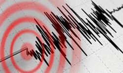 Van'da 3.9 büyüklüğünde meydana gelen deprem korkuttu