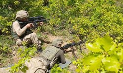 Gri kategoride aranan PKK'lı Terörist Bitlis'te Etkisiz Hale Getirildi