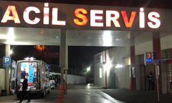 Bitlis'te ot biçme kavgasında acı son!