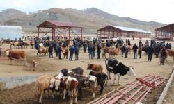 Ağrı’daki hayvan pazarı kapatıldı!