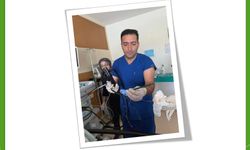 Doktor Aslan, hastasının midesinden kalem çıkarttı!