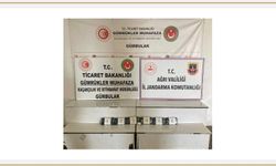 Gürbulak Sınır Kapısında Operasyon