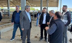 Başkan Taşkın’dan Hayvan Pazarı’na Modern Dokunuş