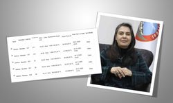 Belediyecilik Bu Mu? Ağrı Belediyesi'nin Arsaları Bir Bir Satışa Çıkartılıyor!