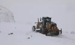 Ağrı’da 423 köy yolunu ulaşıma kapandı!