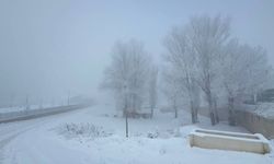 Ağrı’da hava sıcaklığı eksi18 derece!