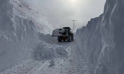 Eleşkirt’te çığ düşmene anında müdahale edildi!