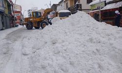 Eleşkirt’te Kar Esareti Yaşanmadı: Başkan Ramazan Yakut’tan Örnek Çalışma