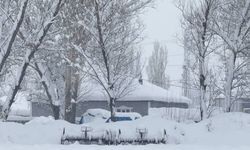 Kar, Ağrı’yı etkisi altına aldı!