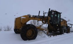 Ağrı’daki kar yağışı, 390 köy yolu ulaşıma kapattı!