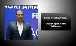 Erkan Kösedağ Yazdı: Dünya Ağrılılar Günü Yaklaşıyor