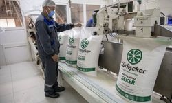 Türkşeker, 525 İşçi Alımı Yapacak!