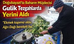 Doğubayazıt’ta Baharın Müjdecisi Gulik Tezgahlarda Yerini Aldı