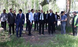 Bakan Yardımcısı Cangir ve Vali Bozkurt Sahada İncelemelerde Bulundu