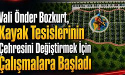 Ağrı Valiliği’nden Güneykaya Mesire Alanı Projesi