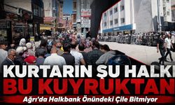 Kurtarın Şu Halkı Bu Kuyruktan: Ağrı’da Halkbank Önündeki Çile Bitmiyor