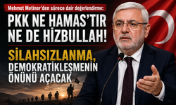 Mehmet Metiner’den “Sürece Dair Yanlış Anlayışlar” değerlendirmesi: “Silahsızlanma demokratikleşmenin önünü açacak”