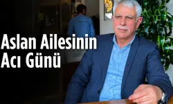 Aslan Ailesinin Acı Günü