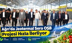 Ağrı'da Jeotermal Sera OSB Projesi Son Hızla Devam Ediyor