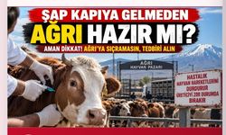 ŞAP Kapıya Gelmeden Ağrı Hazır Mı?