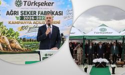 Ağrı’da 330 Bin Ton Şeker Pancarı İşlenecek