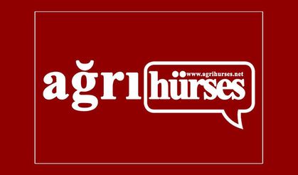 Ağrı, Eş Zamanlı Fetö Operasyonunda 25 Zanlıya Gözaltı