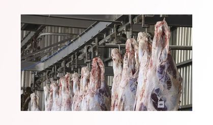 Kurbanlık kesiminin kasaplara yaptırılması et kaybını önlüyor