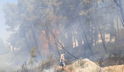 Manavgat Alev Alev Yanıyor