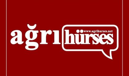 Kahramanmaraş'ta yangın söndürme uçağı düştü