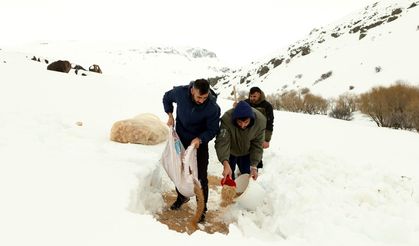Ağrı’da Kış Şartlarında Yaban Hayatına Bilimsel Temelli Destek