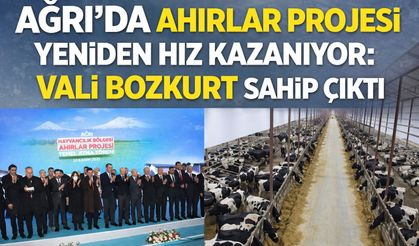 Ağrı’daki Ahırlara Vali Bozkurt Sahip Çıktı!