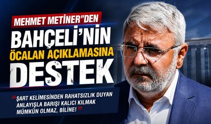 Mehmet Metiner’den Bahçeli’nin Öcalan Açıklamasına Destek