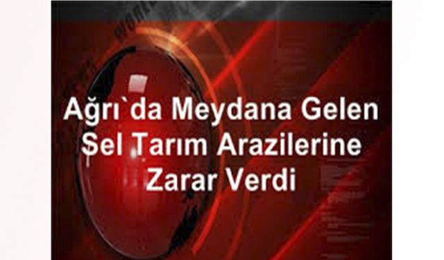 Ağrı Taşlıçay'da  sağanak ve dolu tarım arazilerine zarar verdi