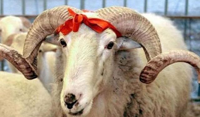 Açıklama Diyanet'ten geldi, vekaletten kurban kesim bedelleri ne kadar?