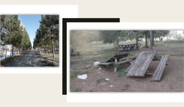Ağrı TRT Parkı'nda Temizlik ve Altyapı Sorunları Tepki Çekiyor