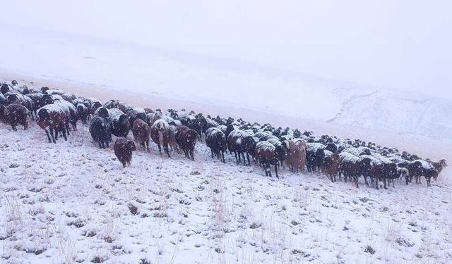 Ağrı’da mevsimin ilk karı yağdı!