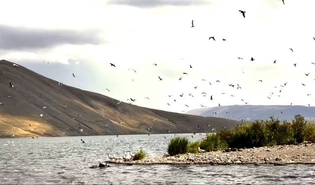Balık Gölü, misafirperverliğe devam ediyor